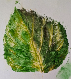 a print of a green leaf